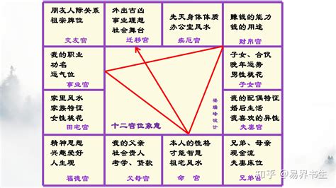 紫微斗数十二宫